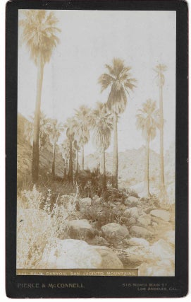 Item #7072 Palm Canyon, San Jacinto Mountains. Charles C. Pierce, Abarim E. McConnell