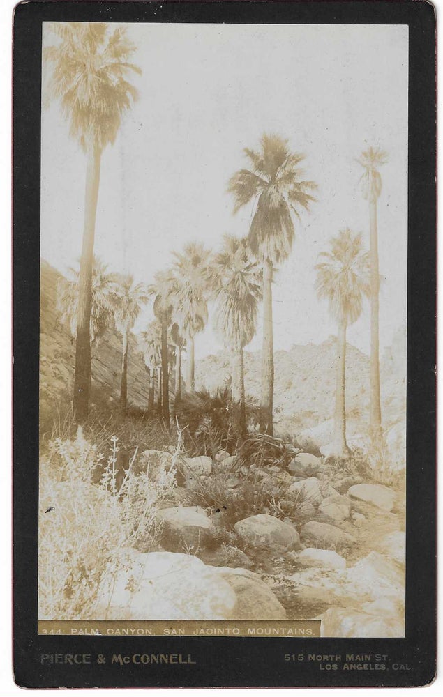 Item #7072 Palm Canyon, San Jacinto Mountains. Charles C. Pierce, Abarim E. McConnell.