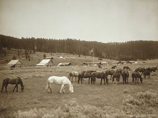 Item #7559 Nine Quarter Circle Ranch - Eldridge, Mont. Albert Schlechten