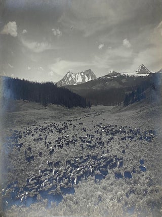 Item #7562 Nine Quarter Circle Ranch - Eldridge, Mont. Albert Schlechten