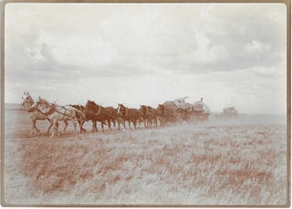 Item #7567 'Ten horse freighter outfit in Montana'. Sumner W. Matteson