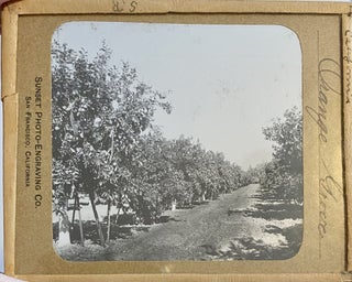 Northern California Magic Lanterns: Agricultural, Big Trees, Missions