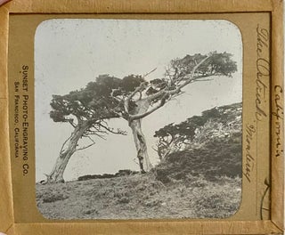 Northern California Magic Lanterns: Agricultural, Big Trees, Missions