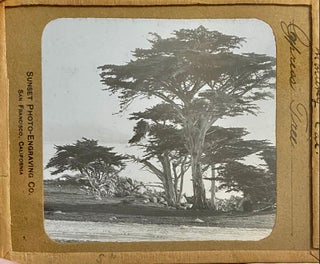 Northern California Magic Lanterns: Agricultural, Big Trees, Missions