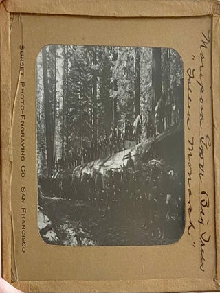 Northern California Magic Lanterns: Agricultural, Big Trees, Missions