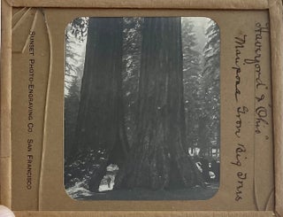 Northern California Magic Lanterns: Agricultural, Big Trees, Missions