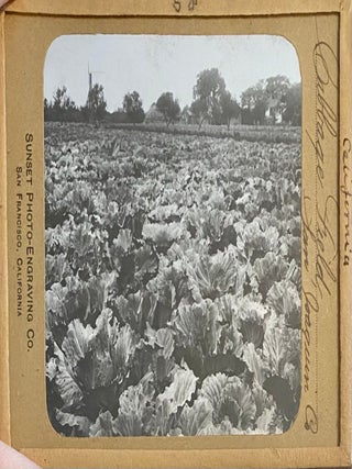 Northern California Magic Lanterns: Agricultural, Big Trees, Missions