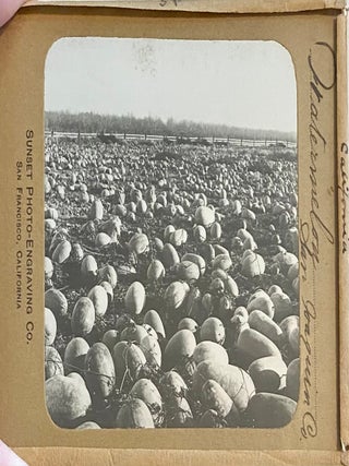 Northern California Magic Lanterns: Agricultural, Big Trees, Missions