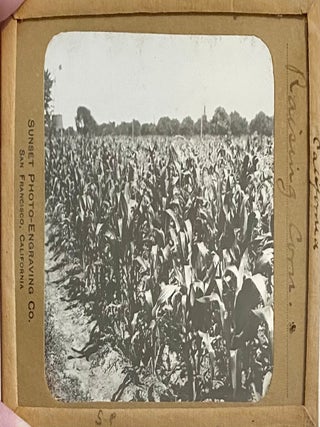 Northern California Magic Lanterns: Agricultural, Big Trees, Missions
