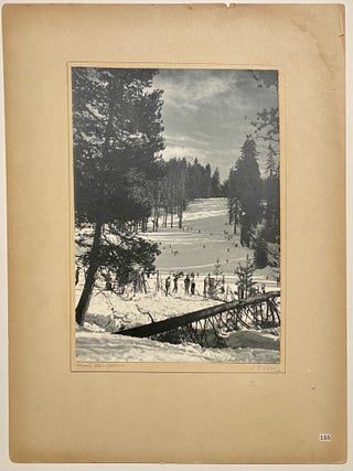 Badger Pass - Yosemite